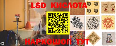 шишки Будённовск